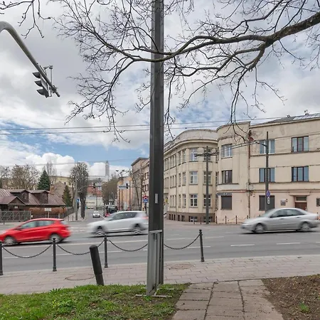 Freedom Avenue By Polo Apartment Kaunas