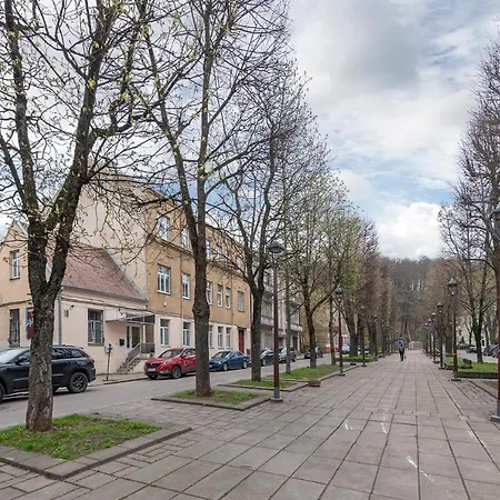 Freedom Avenue By Polo * Kaunas